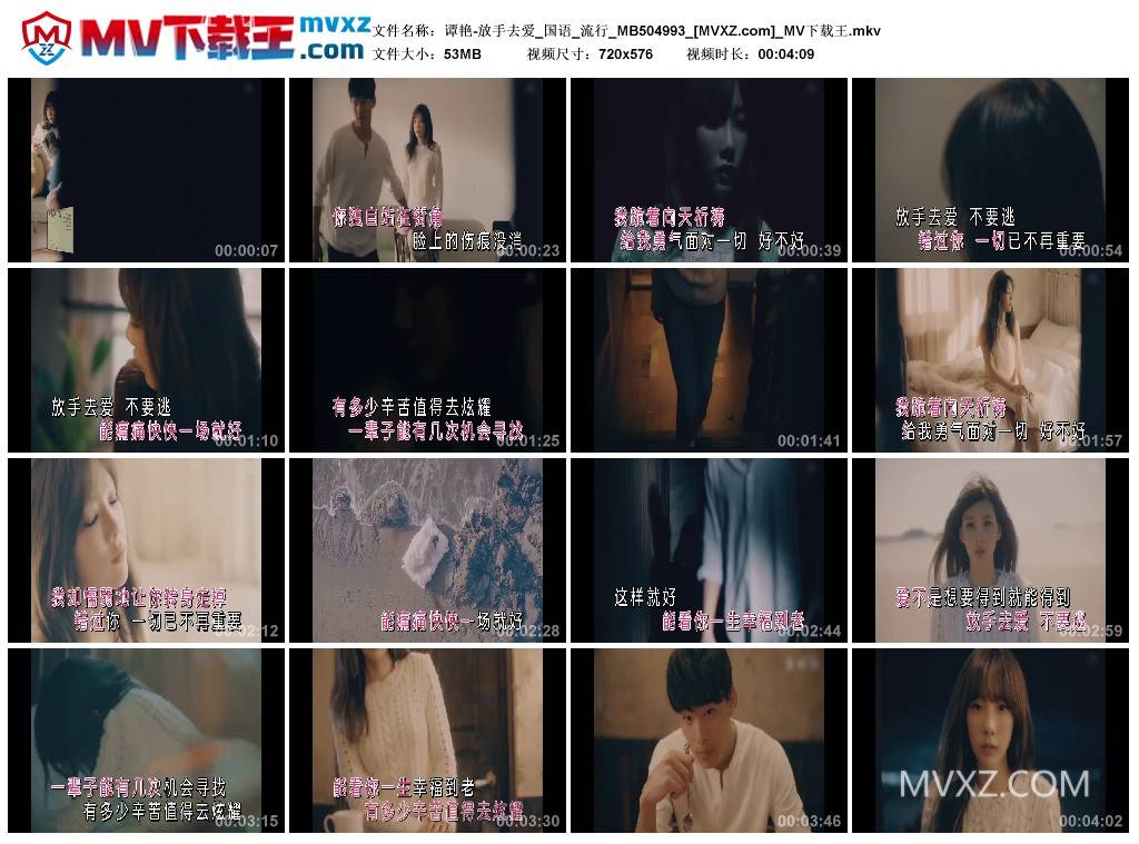 谭艳-放手去爱_国语_流行_MB504993